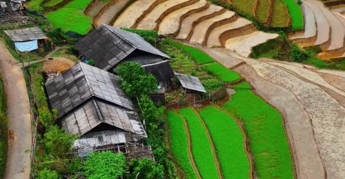 Ruộng nằm ngay bên hiên nhà, nước tràn đầy các thửa, soi rõ mái nhà và khoảng sân nhỏ. Giữa khung cảnh ấy, mọi chuyển động đều chậm lại, để lại cảm giác bình yên.