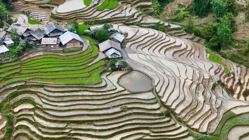  Vào mùa đổ ải, những thửa ruộng bậc thang uốn cong, xếp lớp giữa núi rừng, mặt nước loang loáng, tạo nên khung cảnh nổi bật giữa mây trời. 