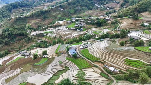  Cách trung tâm Khu du lịch quốc gia Sa Pa khoảng 10 km, xã Tả Van là điểm dừng chân quen thuộc của du khách khi ghé thung lũng Mường Hoa, Bản Cát Cát, Ý Linh Hồ. Thời điểm này, ruộng bậc thang vào mùa nước đổ (hay còn gọi là mùa đổ ải - PV), trở thành điểm nhấn thu hút du khách. 