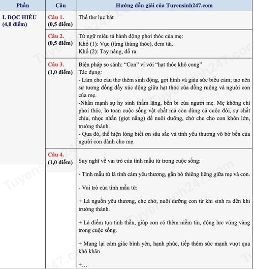 Hướng dẫn cách giải chi tiết đề thi môn Văn.