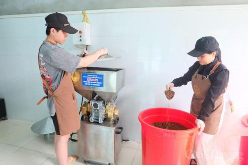 Từ nguồn hỗ trợ của Khuyến công, việc đầu tư máy xay công nghiệp tự động không chỉ giúp Cơ sở chế biến cà phê Hà Chung tăng năng suất mà còn giảm đáng kể chi phí nhân công, giảm hao hụt nguyên liệu và nâng cao tính chuyên nghiệp trong sản xuất.