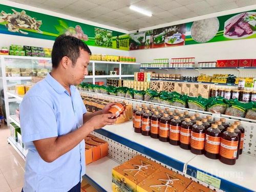 Tính đến hết quý I/2026, tỉnh Lai Châu đã có hơn 200 chủ thể OCOP và hộ kinh doanh tham gia livestream bán hàng trên Facebook, TikTok và Shopee.