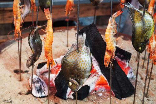 Hải sản mang đặc trưng của vùng biển Tam Thanh được chế biến bằng nhiều cách. Ảnh: PHAN VINH