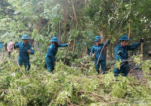 Các lực lượng phường Điện Biên Phủ tham gia hỗ trợ giải phóng mặt bằng dự án tổng thể đầu tư xây dựng Trung tâm TDTT tỉnh Điện Biên.