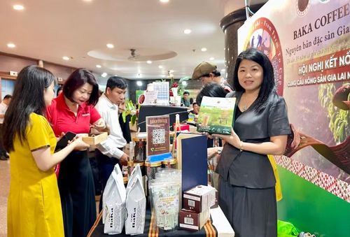Công ty TNHH BaKa (xã Ia Hrung) tham gia trưng bày sản phẩm tại Hội nghị kết nối cung cầu nông sản Gia Lai năm 2026. Ảnh: Vũ Thảo