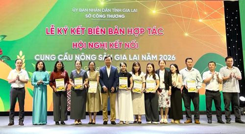Công ty TNHH một thành viên Proton ký kết biên bản ghi nhớ hợp tác với 7 doanh nghiệp, HTX, hộ kinh doanh. Ảnh: Vũ Thảo