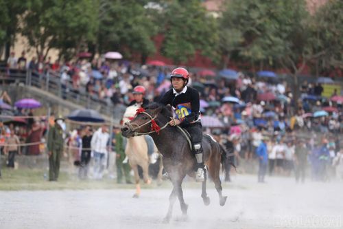 Ngay sau lễ khai mạc, các nài ngựa bước vào tranh tài tại vòng loại Giải đua ngựa truyền thống Bắc Hà lần thứ 19.