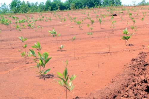 Tổ công tác số 1 xem xét, đề xuất, tháo gỡ các khó khăn có tính mấu chốt là xác định giá đất cụ thể