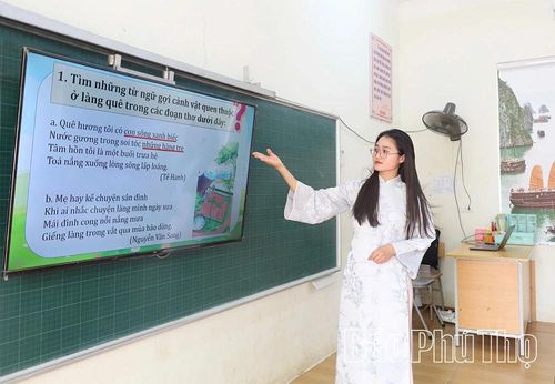 100% cán bộ, giáo viên tại các cơ sở giáo dục trên địa bàn tỉnh đã có kỹ năng số cơ bản, sử dụng thành thạo các nền tảng số phục vụ công tác quản lý và giảng dạy.