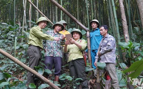 Chị Nông Thùy Dung (Hạt Kiểm lâm số 4) cùng đồng nghiệp và người dân địa phương kiểm tra địa bàn, góp phần nâng cao hiệu quả công tác quản lý, bảo vệ rừng. Ảnh: Thái Sơn