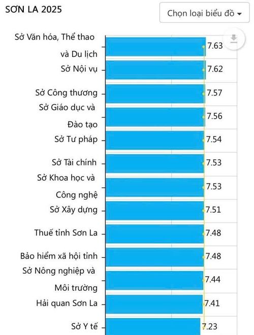 Bảng tổng hợp về điểm số thứ hạng của các sở, ngành. Ảnh: Minh Thu