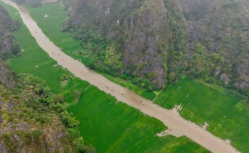 Cánh đồng lúa Tam Cốc dọc hai bờ sông Ngô Đồng được xem là một trong những cánh đồng lúa đẹp nhất Việt Nam