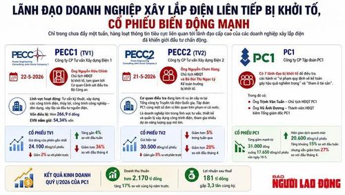 Đồ họa AI: V.Vinh