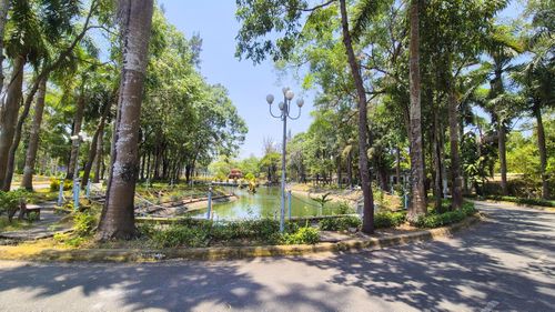 Cảnh quan, cây xanh, hồ nước và hạ tầng có sẵn tại Khu văn hóa Hồ Nước Ngọt