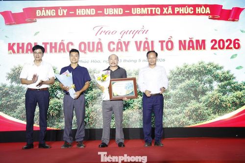 Trao quyền khai thác quả cây vải thiều tổ cho người đấu giá thành công.