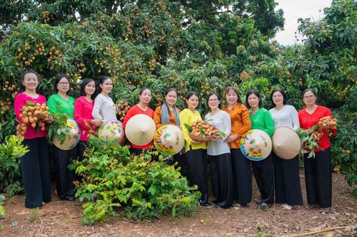 Du khách ở trong và ngoài tỉnh đến tham quan cây vải tổ.
