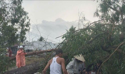 Cây xanh bị đổ ngã, gây xáo trộn sinh hoạt của người dân địa phương.