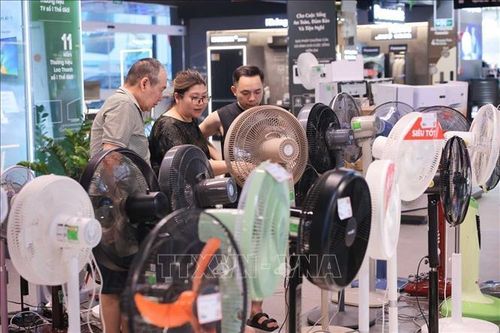 Người dân tìm mua các sản phẩm quạt điện, quạt tích điện tại Siêu thị điện máy PICO (Nguyễn Trãi).