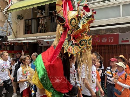 Các màn múa sư tử truyền thống liên tục được trình diễn, góp phần tạo nên bầu không khí lễ hội tưng bừng.