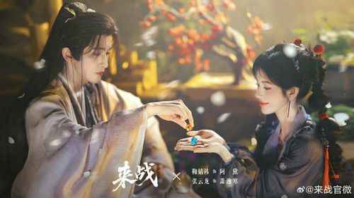 Dự án tiên hiệp võ hiệp mang màu sắc oán gia khi khai thác mối quan hệ thầy trò đầy hỗn loạn giữa A Đại và Tiêu Dật Hàn. Những màn truy sát sư phụ vừa hài hước vừa kịch tính tạo nên chất riêng cho bộ phim. Đây cũng là tác phẩm được kỳ vọng sẽ thu hút khán giả yêu thích dòng phim giải trí nhẹ nhàng, giàu tính tương tác nhân vật.