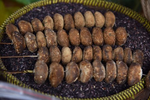 Bánh men dùng để ủ rượu cần của đồng bào miền núi cũng nhuốm màu khói bếp.
