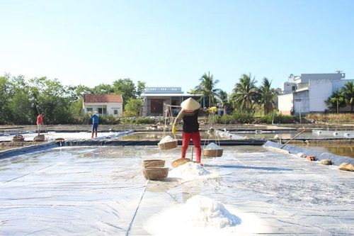  Mới đầu vụ sản xuất muối 2026 nhưng diêm dân đã gặp khó khăn cả về đầu ra lẫn thời tiết. Ảnh: Lợi Tú 