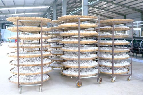 Việc liên kết sản xuất - tiêu thụ giúp nâng cao chất lượng kén tằm, tơ lụa, tăng khả năng cạnh tranh trên thị trường và tạo đầu ra ổn định cho nông dân