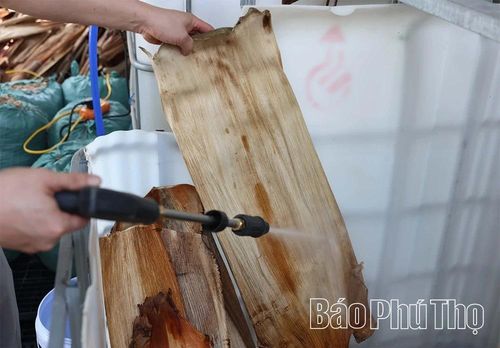 Mo cau được lựa chọn kỹ, rửa sạch trước khi đưa vào sản xuất để mỗi chiếc bát, chiếc đĩa khi đến tay người tiêu dùng đều đảm bảo cả về thẩm mỹ lẫn an toàn.