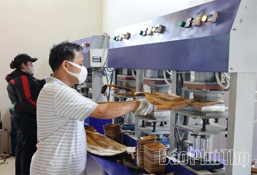 Vận hành máy ép nhiệt tạo hình chén, đĩa từ mo cau.