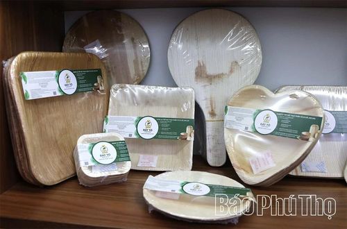 Sản phẩm của HTX có nhiều mẫu mã, kích thước khác nhau, hiện đang cung cấp cho các nhà hàng chay trong nước và xuất sang một số nước khác.