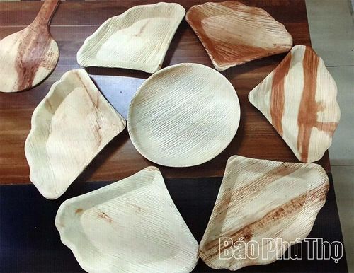 Sản phẩm chén, đĩa sinh học từ mo cau thân thiện môi trường, đáp ứng tiêu chuẩn an toàn thực phẩm.