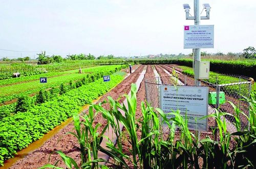 Nhiều mô hình sản xuất rau VietGAP ở Hà Nội đã sử dụng hệ thống máy đo thời tiết. Ảnh: KNHN