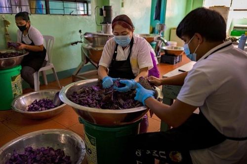 Công nhân Philippines chế biến khoai lang tím ube. Ảnh: Reuters.