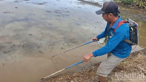 Đồng Tháp nghiêm cấm hành vi sử dụng xung điện để đánh bắt thủy sản theo kiểu hủy diệt.