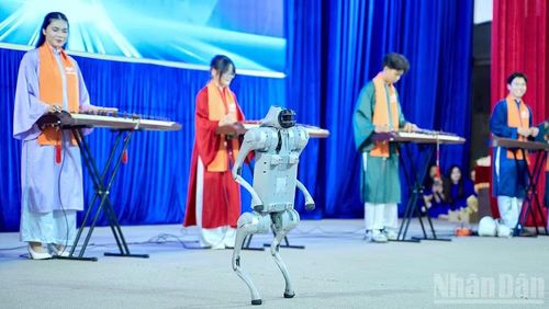 Trình diễn rô-bốt tại Cuộc thi đổi mới sáng tạo của học sinh, sinh viên Cà Mau trong khuôn khổ Tuần lễ Khoa học-Công nghệ, Văn hóa-Du lịch và Cuộc thi gạo ngon vùng Đồng bằng sông Cửu Long năm 2026.