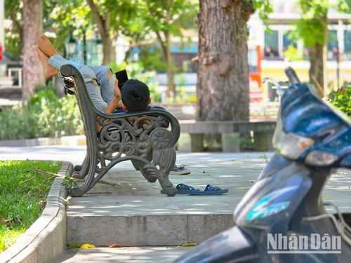 Người lao động tự do tranh thủ nghỉ trưa ở ghế đá công cộng dưới hàng cây xanh trong công viên.