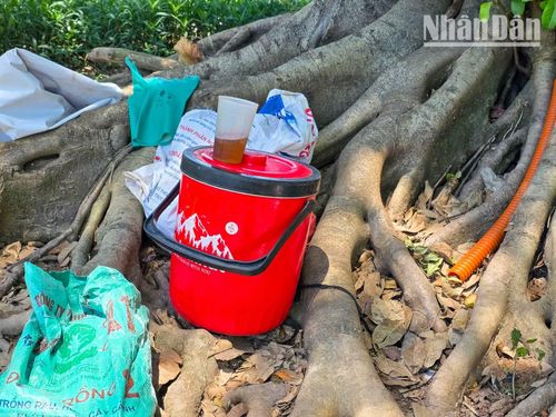 Thùng nước mát được chuẩn bị sẵn dưới gốc cây giúp công nhân công ty cây xanh giải nhiệt kịp thời, lấy lại sức để tiếp tục kiên trì chống chọi với cái nắng gắt và hoàn thành công việc của mình.