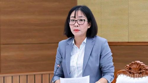 Lãnh đạo Sở Văn hóa, Thể thao và Du lịch Lâm Đồng thông tin kết quả thực hiện đề án.