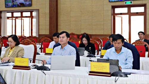 Đại biểu tham dự hội nghị.