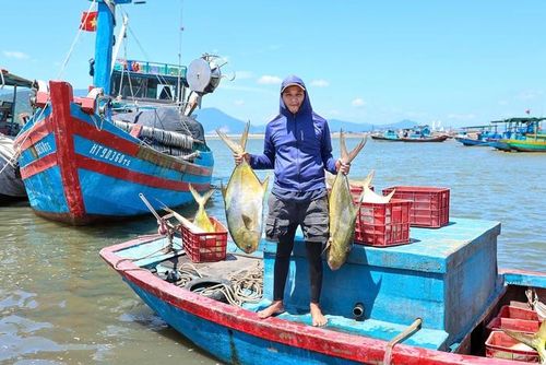 Mẻ cá lớn là liều thuốc động viên tinh thần và tiếp thêm động lực để bà con Hải Ninh tiếp tục vươn khơi bám biển, bảo vệ ngư trường và chủ quyền biển đảo thiêng liêng của Tổ quốc.