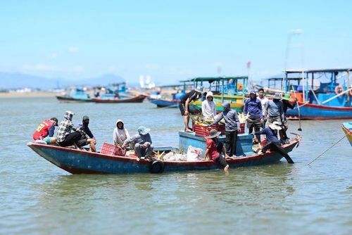 Theo ngư dân Tĩnh, tàu cá của ông trúng mẻ cá vàng dương khoảng 1 tấn chỉ sau ít giờ đánh bắt trên vùng biển Quảng Trị.