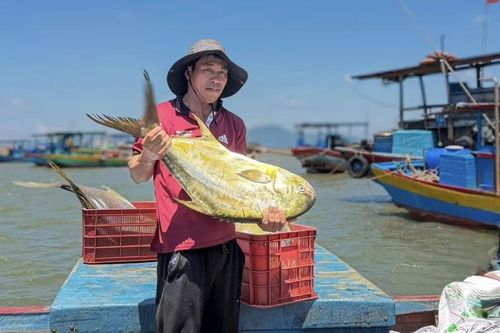 Theo ngư dân Tĩnh, mẻ cá này mang lại nguồn thu hơn 300 triệu đồng.