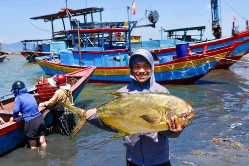 Ngư dân phấn khởi khi mẻ cá mang lại nguồn thu hơn 300 triệu đồng.