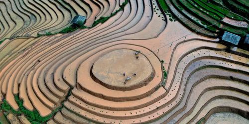 Người dân tất bật chuẩn bị gieo cấy trên các thửa ruộng bậc thang ở Mâm Xôi, Púng Luông, mang theo niềm hy vọng về một vụ mùa bội thu.