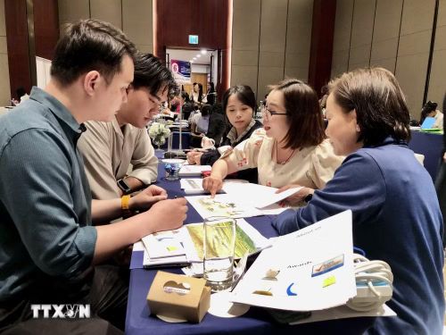 Doanh nghiệp Thái Lan tiếp thị thương hiệu đến doanh nghiệp Việt Nam. (Ảnh: Mỹ Phương/TTXVN)