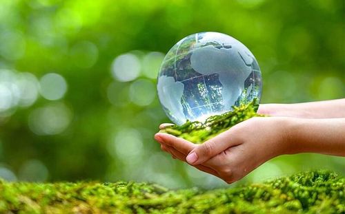 Nghị định số 29/2026/NĐ-CP ngày 19/1/2026 được xem là bước tiến quan trọng trong việc hoàn thiện hạ tầng pháp lý cho thị trường carbon. Ảnh minh họa