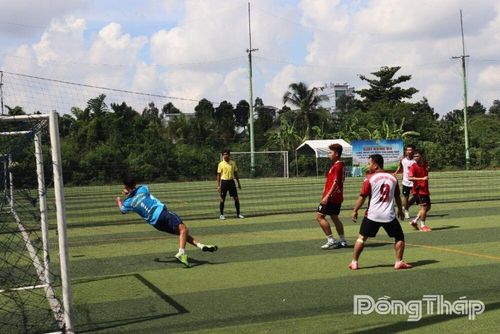 Các đội bóng tham gia tranh tài.