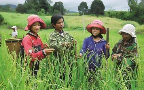 Nguồn lực ngân sách trung ương tiếp tục được ưu tiên cho các xã, thôn đặc biệt khó khăn, vùng đồng bào dân tộc thiểu số và miền núi.