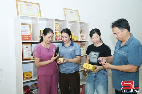 Quét mã QR truy xuất nguồn gốc sản phẩm của HTX Nuôi ong mật Sông Mã. Ảnh: Thu Thảo