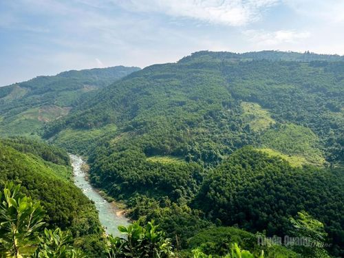 Những cánh rừng Khuổi Ma xanh tít tắp tận chân trời.